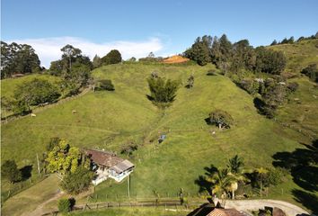 Lote de Terreno en  Rionegro Antioquía