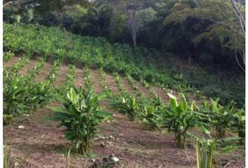 Lote de Terreno en  Los Alamos, Pereira