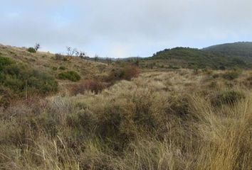 Terreno en  Autol, Rioja (la)