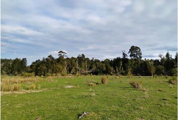 Parcela en  Ancud, Chiloé