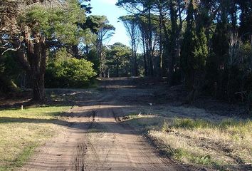 Terrenos en  Otro, Pinamar