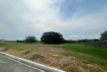 Lote de Terreno en  Rozo, Palmira