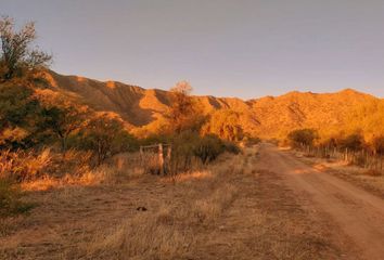 Terrenos en  Villa De La Quebrada, San Luis