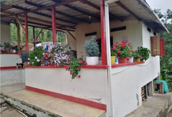 Villa-Quinta en  Pijao, Quindío