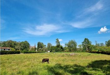 Lote de Terreno en  Rionegro Antioquía