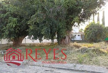 Lote de Terreno en  Atlahuacan, Lomas De Cocoyoc, Morelos