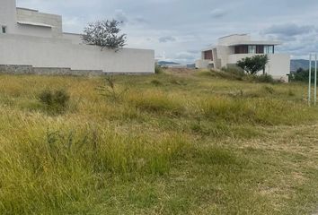 Lote de Terreno en  Rancho O Rancheria Molineros, Ciudad De Guanajuato