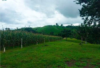 Finca/Hacienda en  Cucunatí, Chepigana