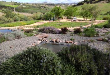 Terreno en  Alhaurin De La Torre, Málaga Provincia