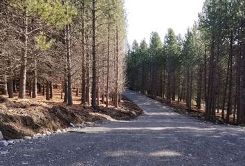 Terrenos en  Lácar, Neuquen