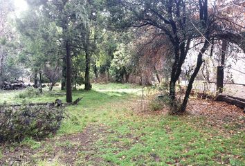 Terrenos en  San Carlos De Bariloche, San Carlos De Bariloche