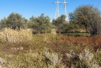 Terrenos en  Maipú, Mendoza