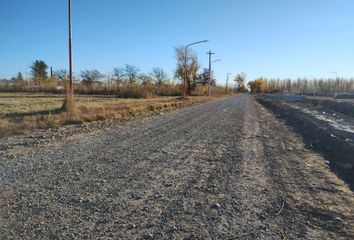 Terrenos en  Allen, Río Negro