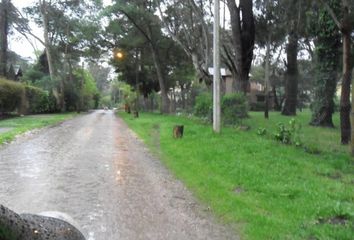 Terrenos en  Bosque Peralta Ramos, Mar Del Plata