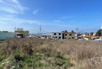 Lote de Terreno en  Boulevard Primera, El Sauzal, Ensenada, Baja California, 22760, Mex