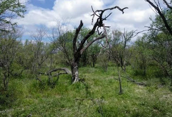 Lote de Terreno en  Sabinas, Coahuila