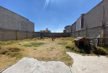 Lote de Terreno en  Calle Guadalupe Victoria 16-16, San Cristóbal Huichochitlán, Toluca, México, 50200, Mex