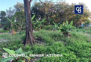 Lote de Terreno en  Calle 8 De Octubre, Puerto Ceiba, Paraíso, Tabasco, 86610, Mex