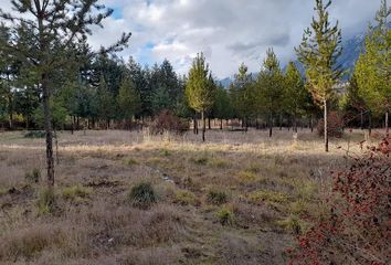 Terrenos en  Lago Puelo, Chubut