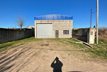 Galpónes/Bodegas en  General Belgrano, Partido De General Belgrano