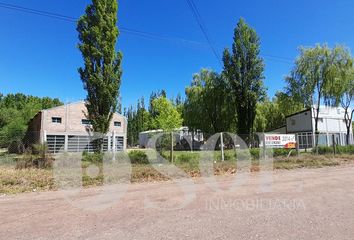 Galpónes/Bodegas en  Cipolletti, Río Negro