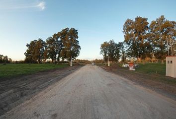 Terrenos en  Alejandro Petión, Partido De Cañuelas