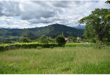 Lote de Terreno en  Anatolí, La Mesa