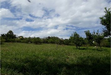 Lote de Terreno en  Anatolí, La Mesa