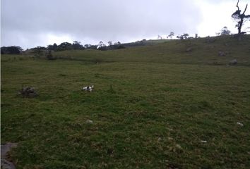 Villa-Quinta en  Anolaima, Cundinamarca