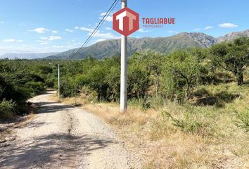 Terrenos en  Cortaderas, San Luis