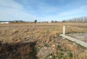 Terrenos en  Chichinales, Río Negro