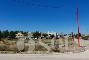 Terrenos en  Cipolletti, Río Negro