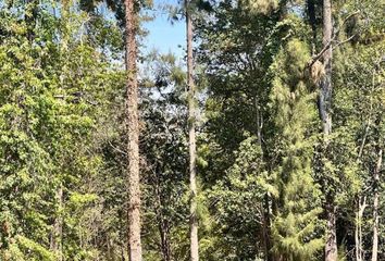 Terrenos en  Belén De Escobar, Partido De Escobar