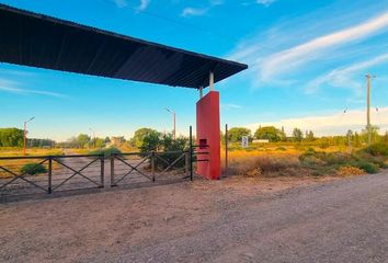 Terrenos en  Cipolletti, Río Negro