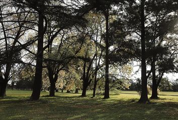 Terrenos en  La Lonja, Partido Del Pilar