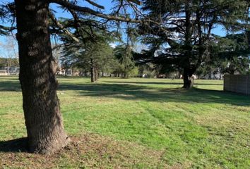 Terrenos en  Alejandro Petión, Partido De Cañuelas