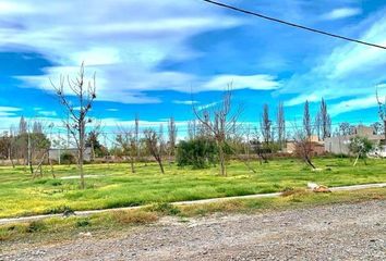 Terrenos en  Plottier, Neuquen