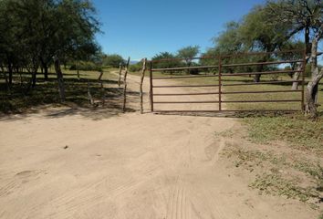 Terrenos en  San Francisco Del Monte De Oro, San Luis