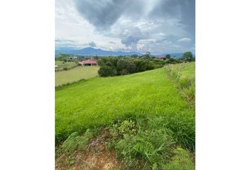 Lote de Terreno en  Centro, Pereira