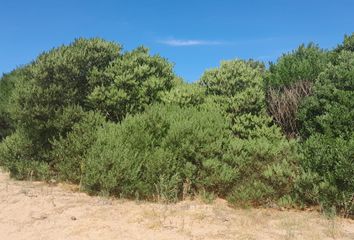 Terrenos en  Buenos Aires Costa Atlántica