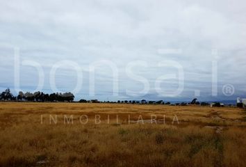 Lote de Terreno en  Maneadero, Ensenada