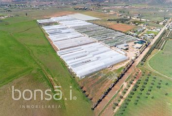 Lote de Terreno en  Avenida Héroes De Baja California 11, Ejido El Porvenir, Ensenada, Baja California, 22984, Mex