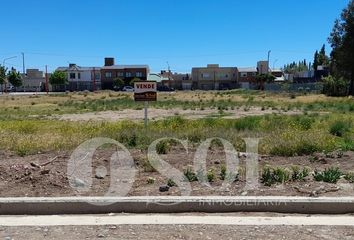 Terrenos en  Cipolletti, Río Negro