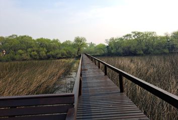 Terrenos en  Delta, Partido De Tigre