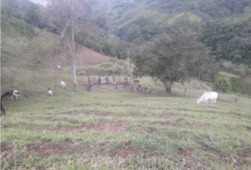 Villa-Quinta en  Puerto Nare, Antioquia