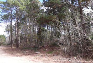 Terrenos en  Otro, Pinamar