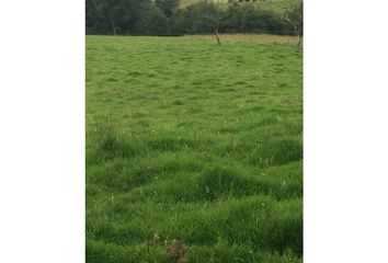 Lote de Terreno en  Yerbabuena, Chía