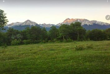 Terrenos en  Los Cipreses, Chubut