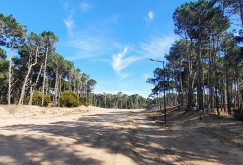 Terrenos en  Otro, Pinamar