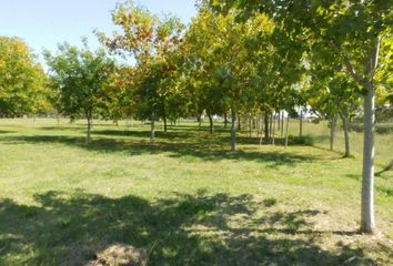 Terrenos en  Villa Elvira, Partido De La Plata